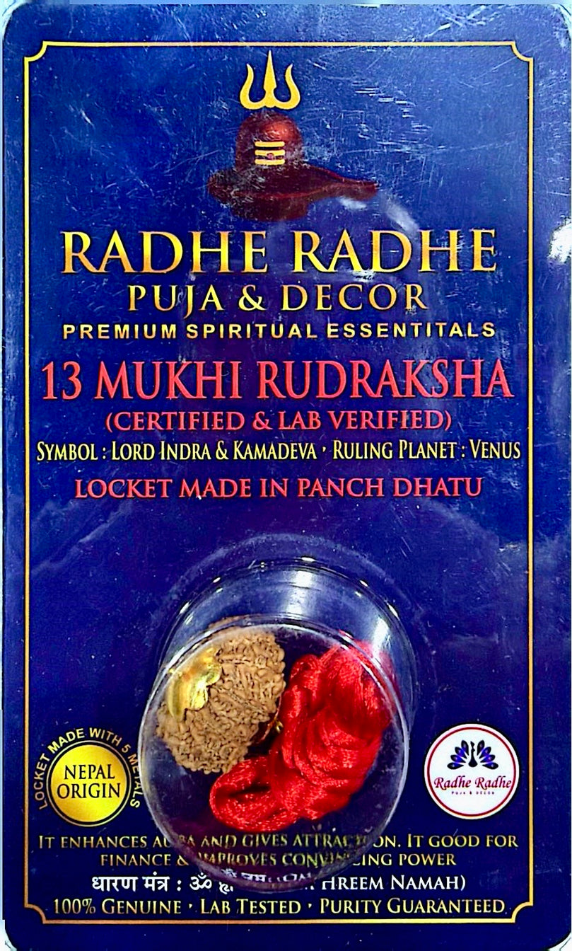 13 Mukhi Rudraksha Pendant (Nepal Origin, Lab Certified) – Shri Kamadeva & Indra Rudraksha in Panch Dhatu | Attraction, Confidence & Success