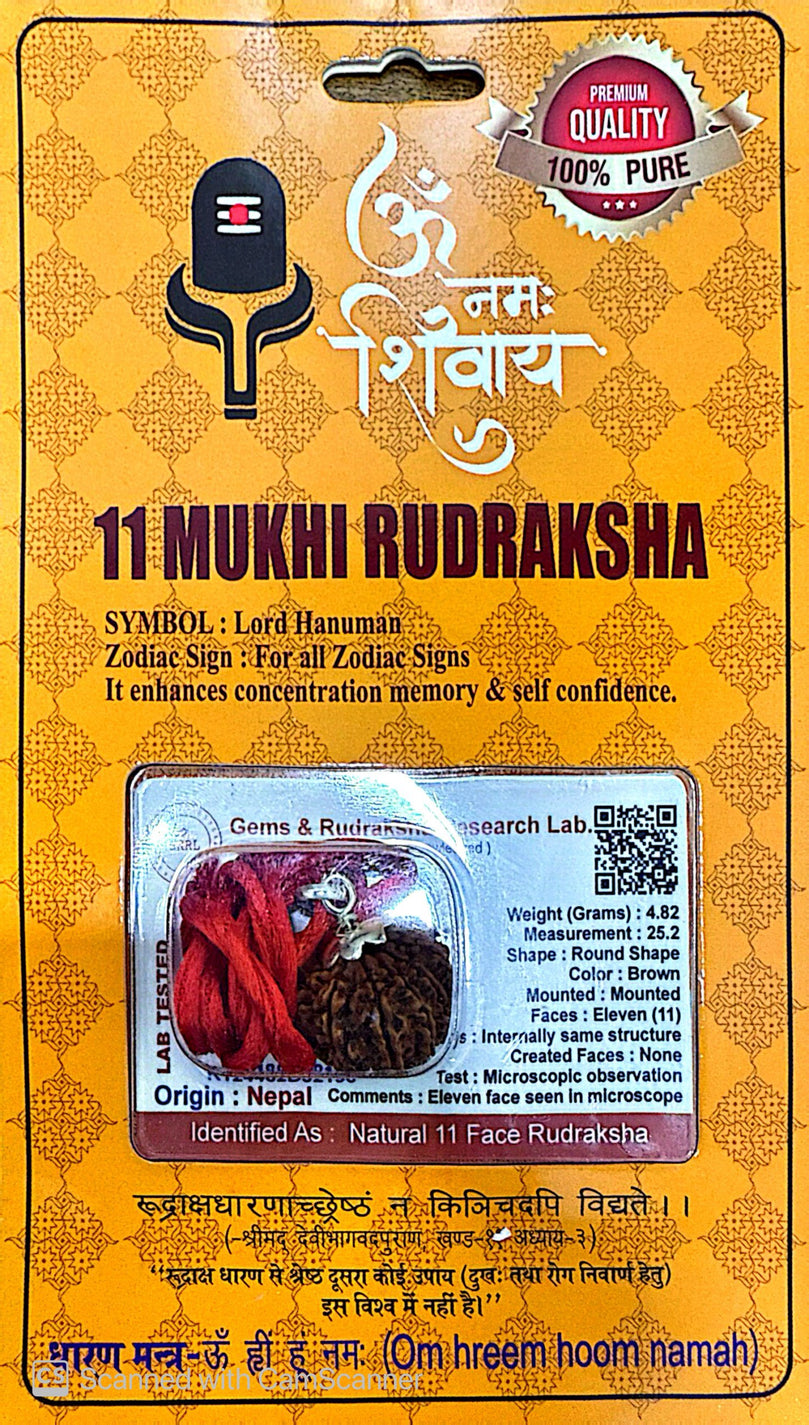 11 Faced (Mukhi) Rudraksha Necklace (Lab Certified) - Lord Hanuman, Enhances Concentration, Memory & Self-Confidence, Makes Wearer Witty, Bold, Logical, Expressive & Intelligent, Heals Immunitiy, Thyroid, Astima