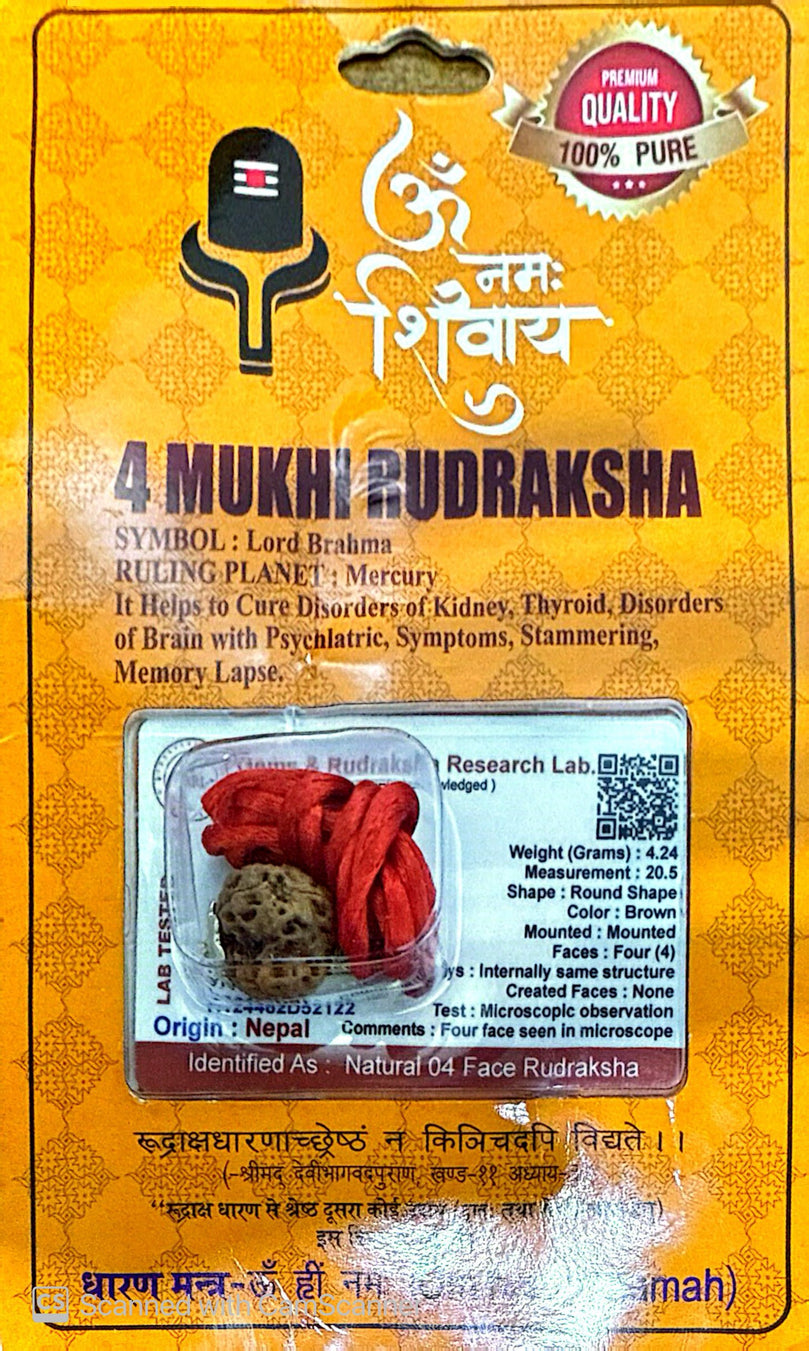 4 Faced (Mukhi) Rudraksha Necklace (Lab Certified) - Lord Brahma, Mercury, Knowledge & Intellect, Memory, Creativity, Focus, Healthy Brain