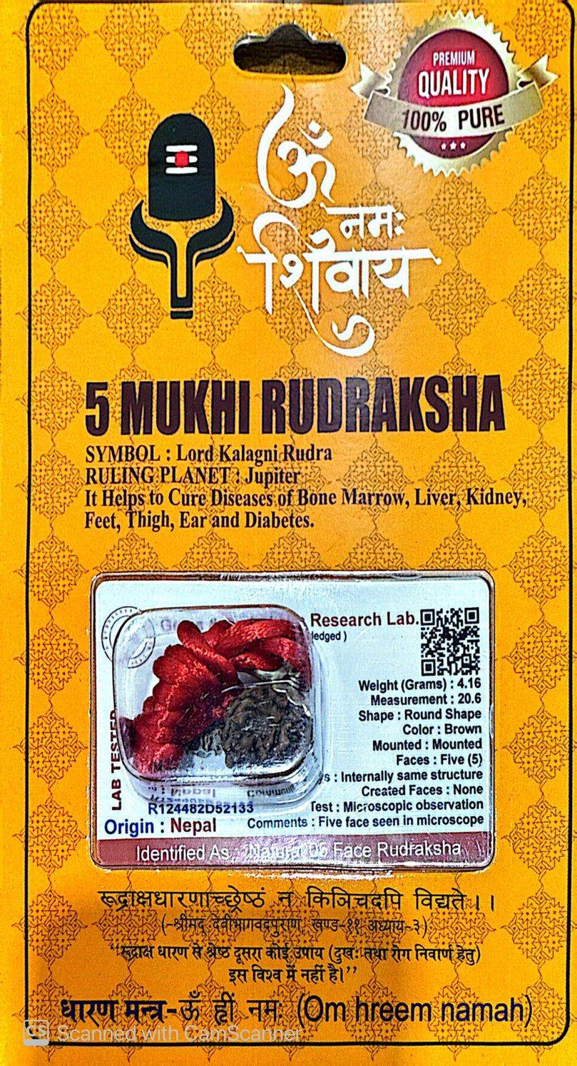 5 Faced (Mukhi) Nepali Rudraksha Necklace (Lab Certified) - Kalagni Rudra, Jupiter, Peace of Mind, Meditation, Anger Managment, Stammering Problems, High Blood Pressure, Heals Chronic Cough, Cold, Sinusitis & Protects from Death.