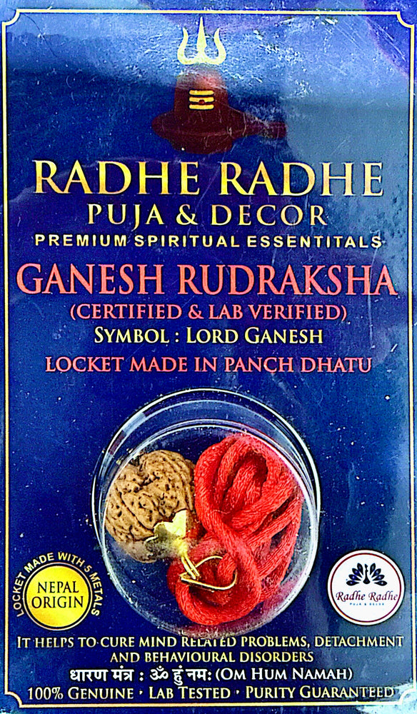 Ganesh Rudraksha Pendant (Nepal Origin, Lab Certified) – Shri Ganesh Ji Rudraksha in Panch Dhatu | Removes Obstacles & Brings Success