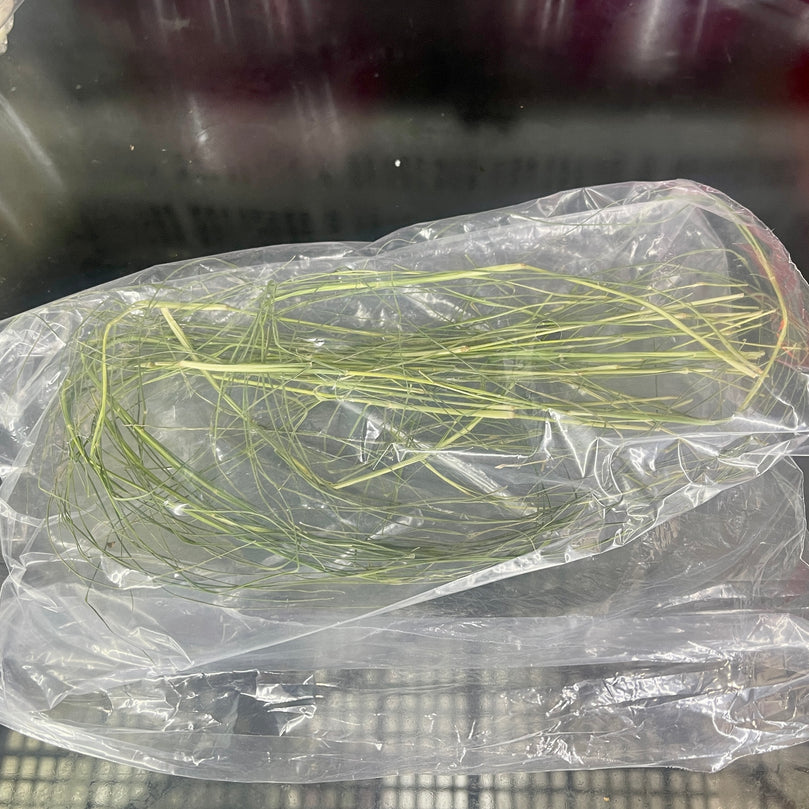Durva / Dhoob Grass - Per Pack