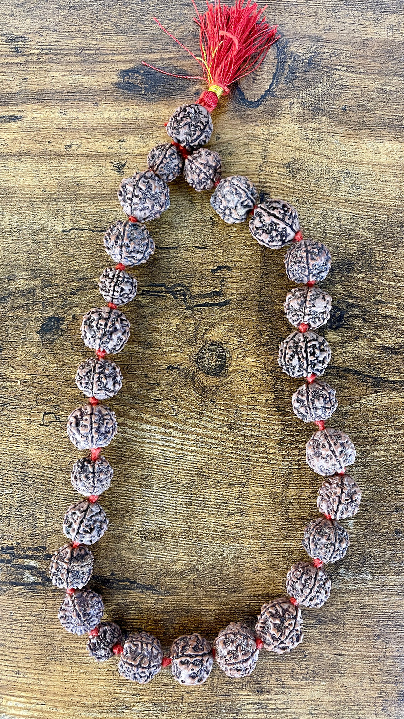 5 Mukhi Rudraksha Mala - 27 Beads - 10" long (per side)