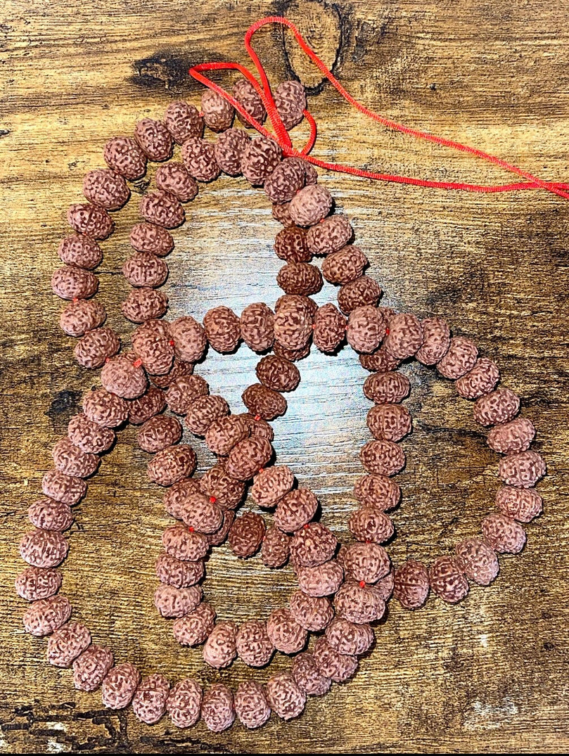 8 Mukhi Rudraksh Mala - 108 Beads - 22" long (per side)