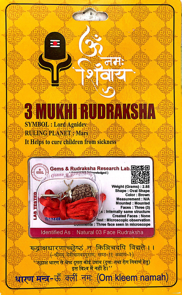3 Faced (Mukhi) Rudraksha Necklace (Lab Certified) - Lord Agni, Mars, Healthy Life, Pure Mind, Mental & Physical Energy, Courage, Protection