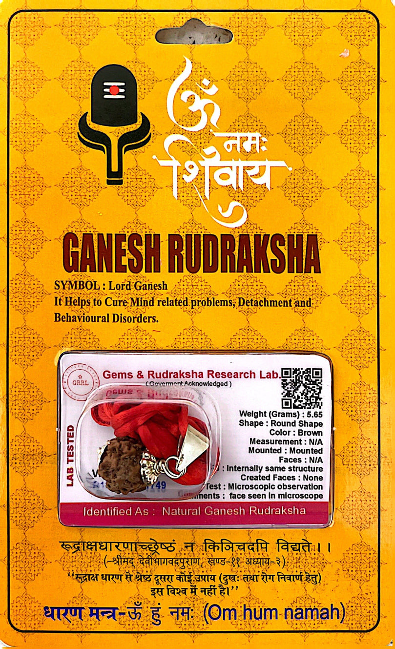 Ganesh Rudraksha Necklace (Lab Certified) - Lord Ganesh, Cure Mind, Detachment & Behavioral Disorders, For Wisdom, Removing Obsticals, Luck and Prosperity, Heals Memory Loss, Bladder, Respiratory & Heart Diseases, Liver & Breast Problems