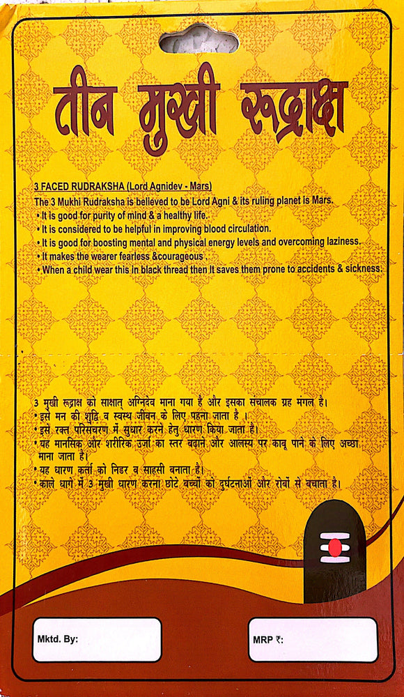 3 Faced (Mukhi) Rudraksha Necklace (Lab Certified) - Lord Agni, Mars, Healthy Life, Pure Mind, Mental & Physical Energy, Courage, Protection