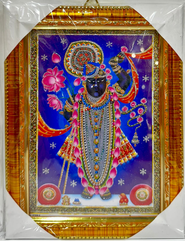 Shri Nath Ji - 7"x9" Picture Frame - Wall Hanging