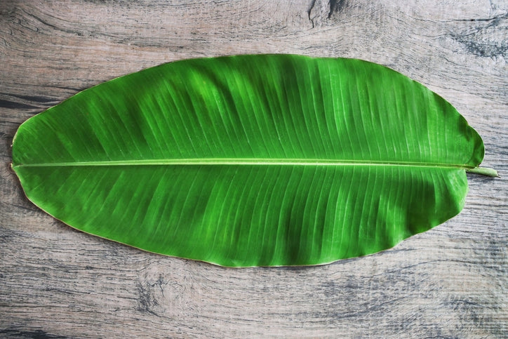 Banana Leaves - Per Leaf