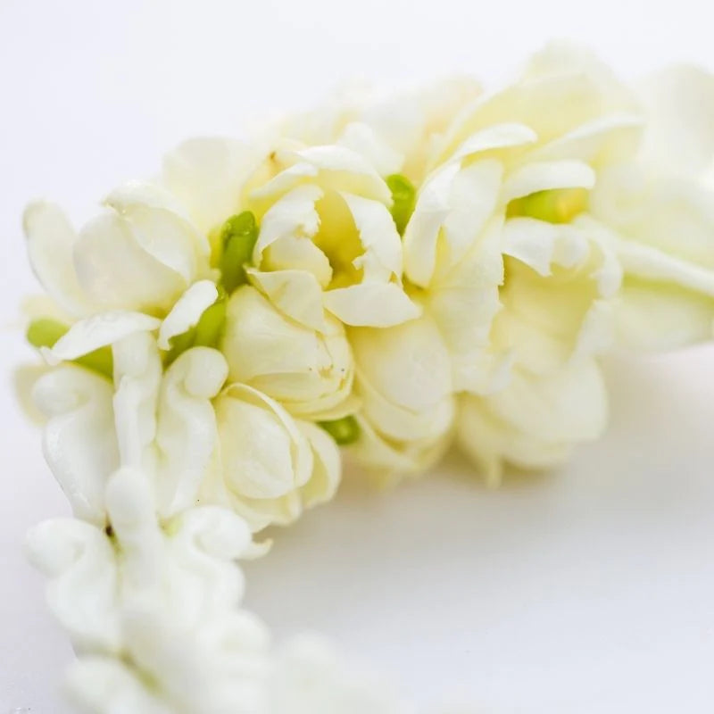 Jasmine Garland (Mogra/Chamali) - 2.5 ft long - Fresh Flowers