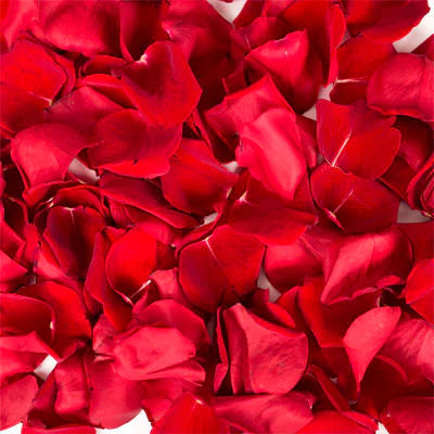 Fresh Rose Petals (Gulab) - Fresh Flowers - Per 1 Box