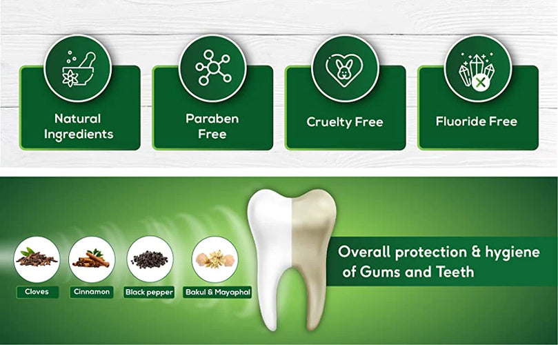 Sudanta Toothpaste – Fluoride-Free – 100% Vegetarian - 200g - Sri Sri Tattva