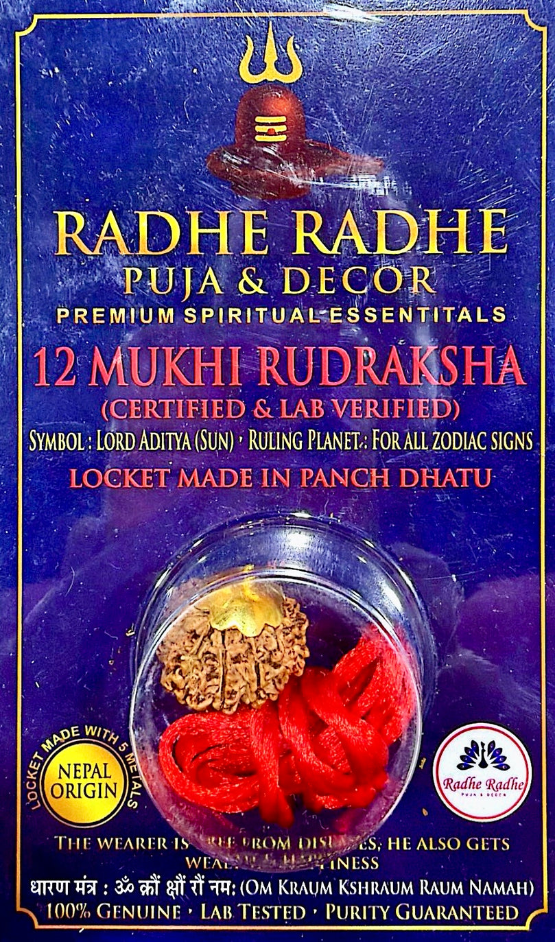 12 Mukhi Rudraksha Pendant (Nepal Origin, Lab Certified) – Shri Surya Dev (Aditya) Rudraksha in Panch Dhatu | Confidence, Leadership & Success