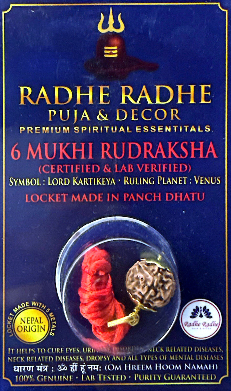 6 Mukhi Rudraksha Pendant (Nepal Origin, Lab Certified) – Lord Kartikeya Rudraksha in Panch Dhatu | Confidence, Communication & Focus
