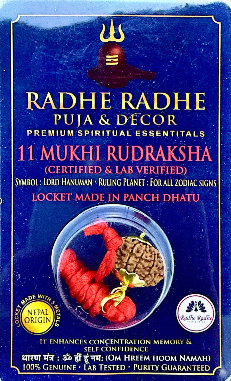 11 Mukhi Rudraksha Pendant (Nepal Origin, Lab Certified) – Shri Hanuman Ji Rudraksha in Panch Dhatu | Strength, Focus & Protection