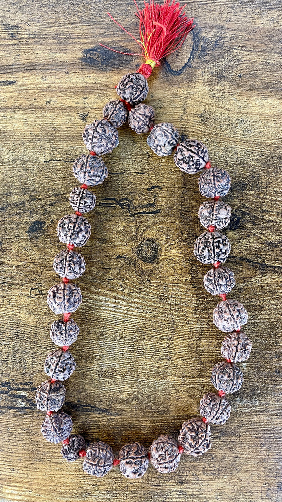 5 Mukhi Rudraksha Mala  - 27 Beads - 10" long (per side)