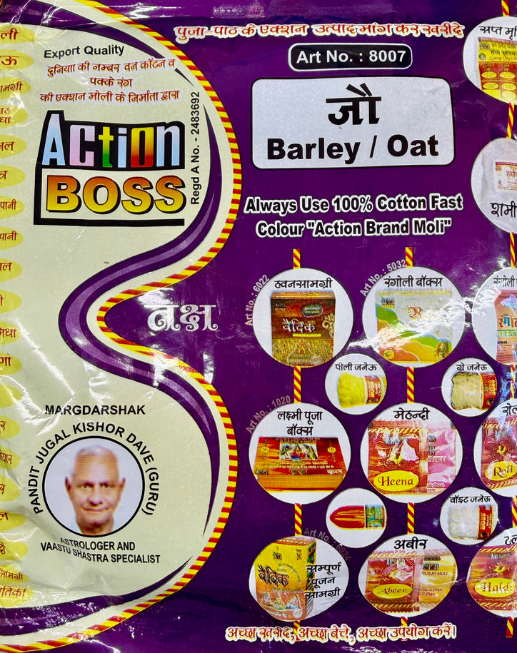 Jau (Barley/Oat) 100g – Havan, Shivling Abhishek & Navratri Growing Puja Essential