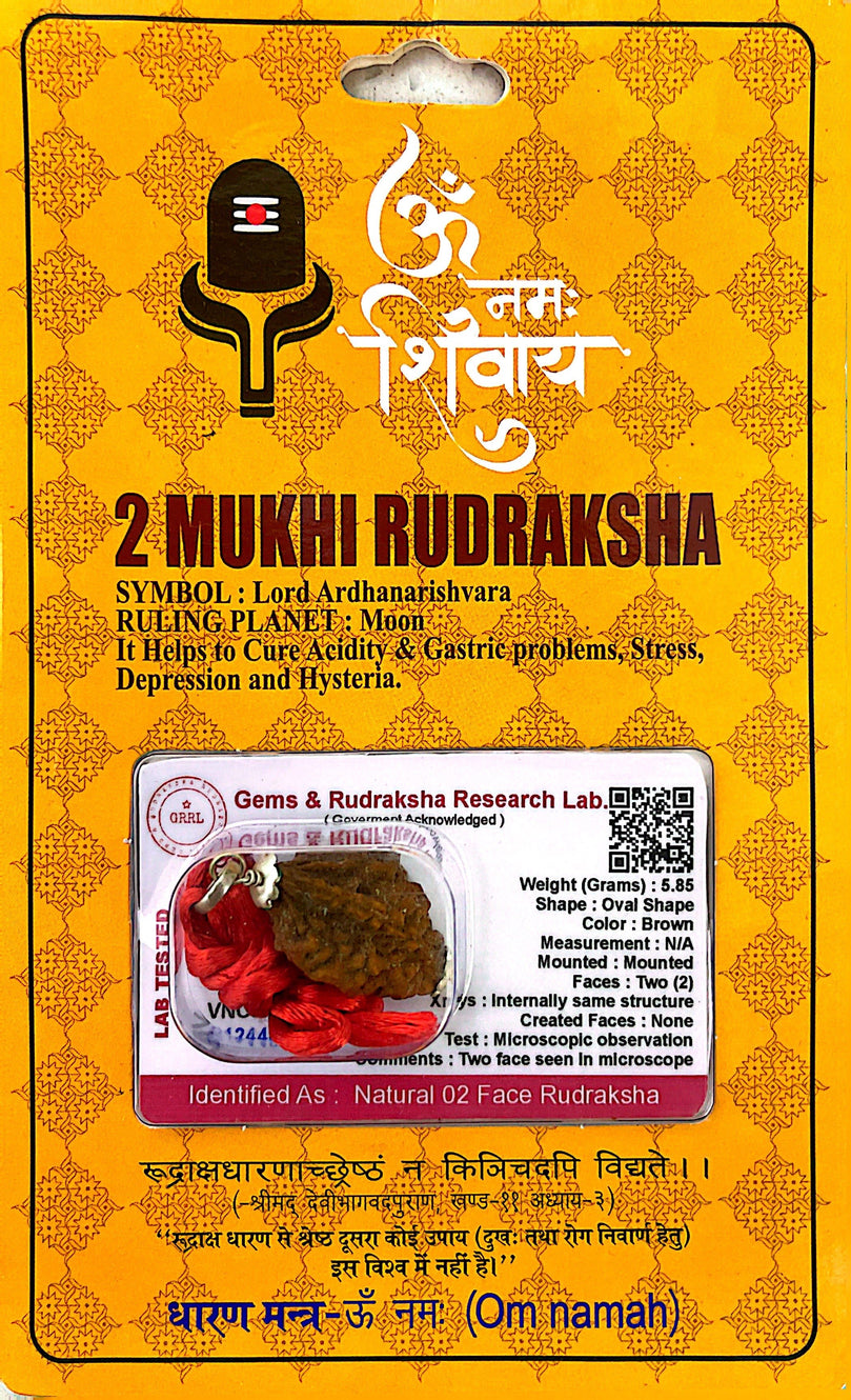 2 Faced (Mukhi) Rudraksha Necklace (Lab Certified) - Lord Ardhanarishvara, Moon, Riches, Joy, Emotional Stability & Overcoming Anxiety, Depression, Healing Cough/Cold and Chest Problems