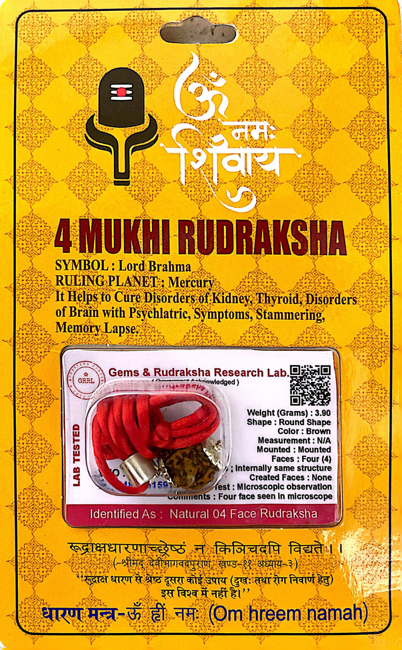 4 Faced (Mukhi) Rudraksha Necklace (Lab Certified) - Lord Brahma, Mercury, Knowledge & Intellect, Memory, Creativity, Focus, Healthy Brain