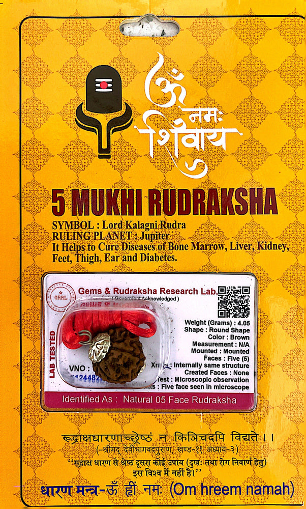 5 Faced (Mukhi) Rudraksha Necklace (Lab Certified) - Kalagni Rudra, Jupiter, Peace of Mind, Meditation, Anger Managment, Stammering Problems, High Blood Pressure, Heals Chronic Cough, Cold, Sinusitis & Protects from Death.