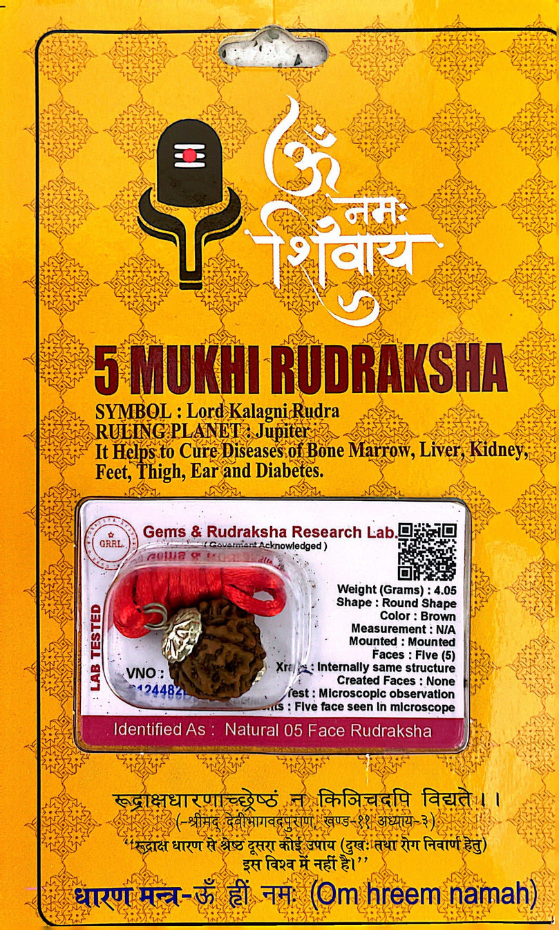 5 Faced (Mukhi) Nepali Rudraksha Necklace (Lab Certified) - Kalagni Rudra, Jupiter, Peace of Mind, Meditation, Anger Managment, Stammering Problems, High Blood Pressure, Heals Chronic Cough, Cold, Sinusitis & Protects from Death.