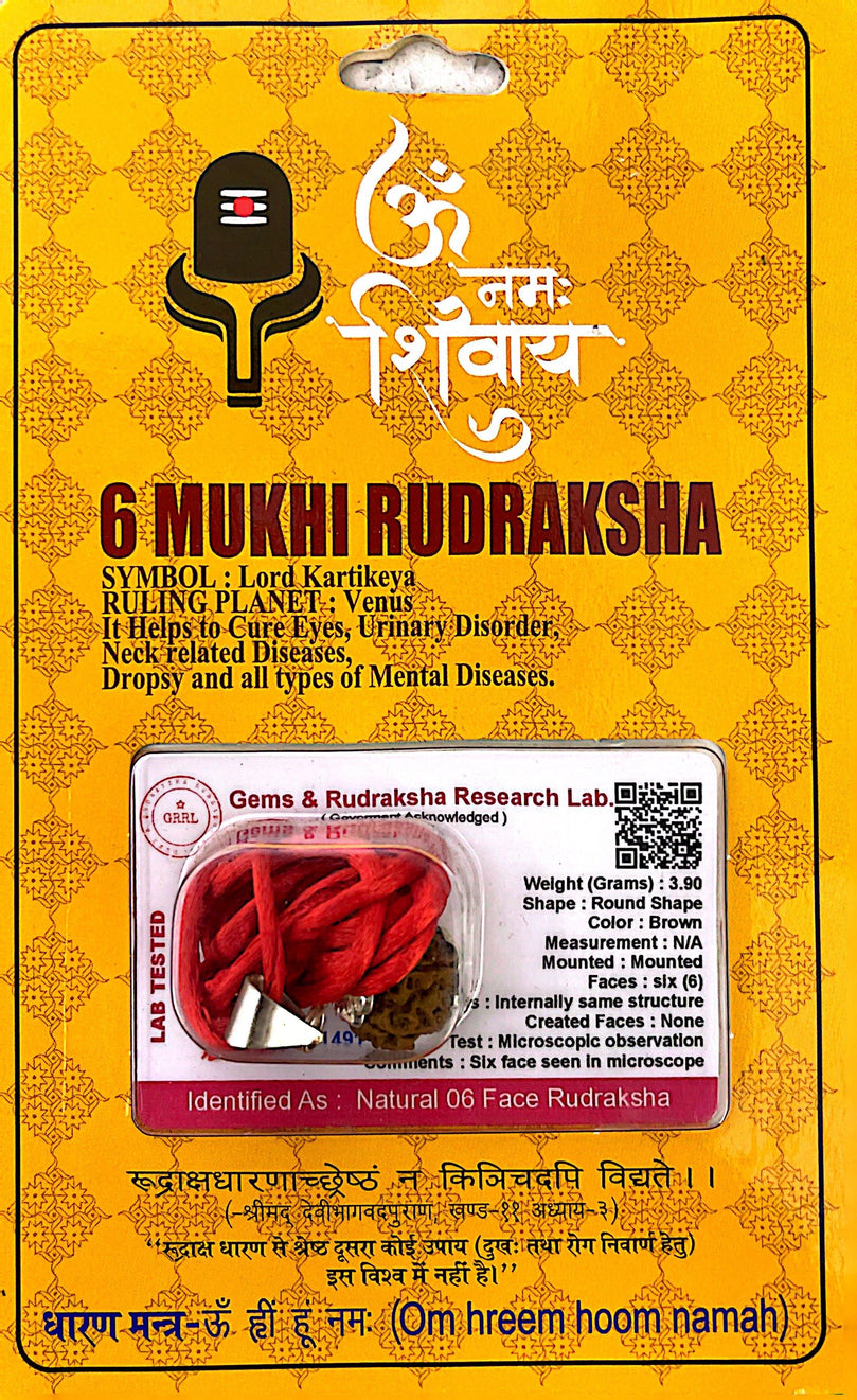 6 Faced (Mukhi) Rudraksha Necklace (Lab Certified) - Lord Kartikeya, Venus, Ingenuity, Power, Stable Mind, Improves Artistic Abilities, Self-Expression, Communication Skills, Self-Confidence & Heals Urological and Gynaecological Problems