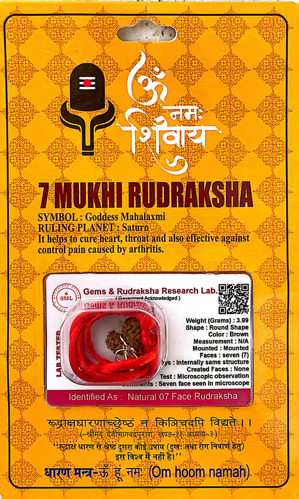 7 Faced (Mukhi) Rudraksha Necklace (Lab Certified) - Goddess Mahalaxmi, Saturn, Financial Growth, Stability of Income, Career Development, Good For Business or Professionals, Heals Bones, Nerves, Neck and Lower Back