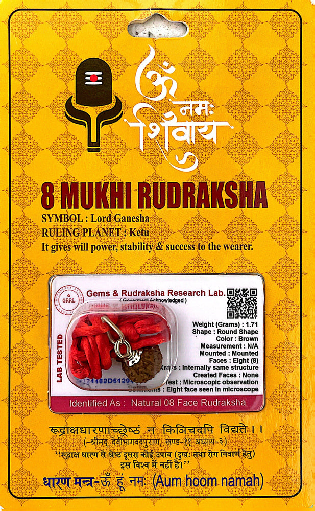 8 Faced (Mukhi) Rudraksha Necklace (Lab Certified) - Lord Ganesha, Removes Obsticals, Destroies Evil, Brings Success & Happniess, Good for Intellectuals, Business and Servicemen, Removes Effect of Ketu, Gives Arthritis & Mental Stress Relief