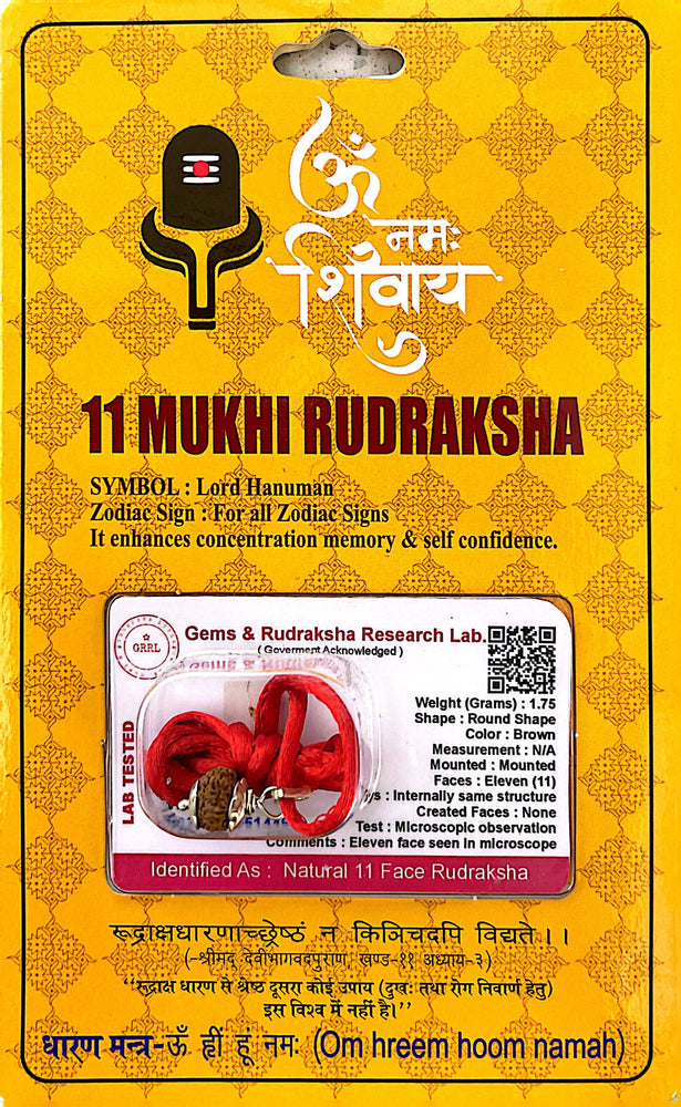 11 Faced (Mukhi) Rudraksha Necklace (Lab Certified) - Lord Hanuman, Enhances Concentration, Memory & Self-Confidence, Makes Wearer Witty, Bold, Logical, Expressive & Intelligent, Heals Immunitiy, Thyroid, Astima