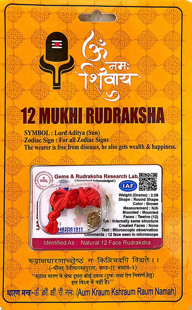 12 Faced (Mukhi) Rudraksha Necklace (Lab Certified) - Lord Aditya, Sun, Radiance, Luster, Brilliance & Vitality, Name, Fame, Power & Position, Good for Businessmen, Lawyers, Doctors, Accountants, Heals Internal Organs, Eyes, Skin & the Heart