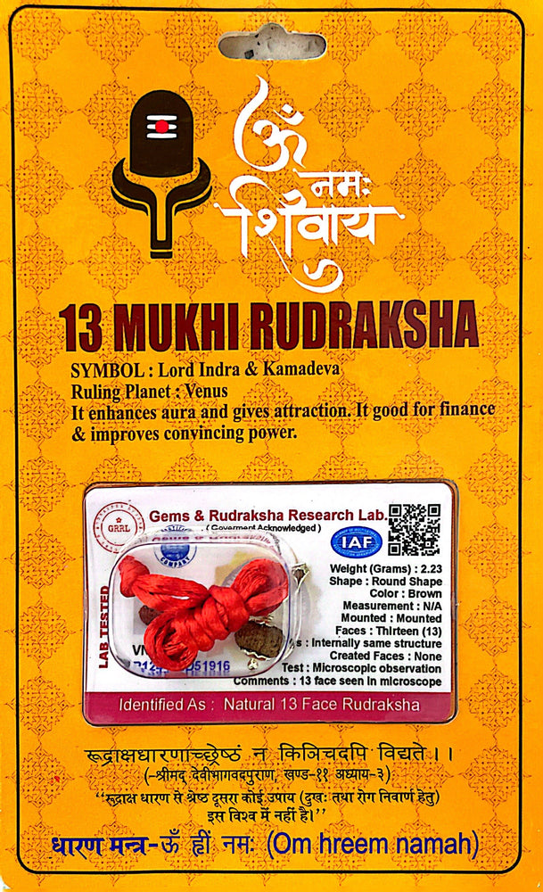 13 Faced (Mukhi) Rudraksha Necklace (Lab Certified) - Lord Indra & Kaamdeva, Venus, Enhances Aura & Gives Attraction, Good for Finance & Improves Convincing Power