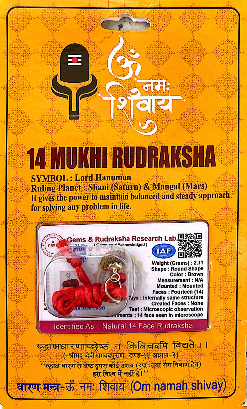 14 Faced (Mukhi) Rudraksha Necklace (Lab Certified) - Lord Hanuman, Mars & Saturn, Steady & Balanced Approach to Problem Solving, Become Self-Assured, Directed, Outspoken & Courageous, Heals Arthritis, Piles & Obesity issues