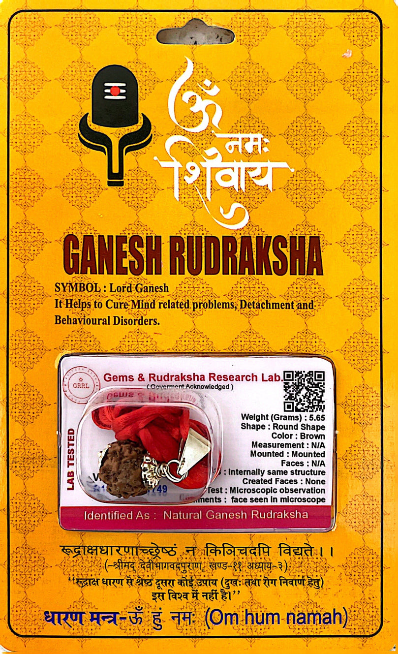 Ganesh Rudraksha Necklace (Lab Certified) - Lord Ganesh, Cure Mind, Detachment & Behavioral Disorders, For Wisdom, Removing Obsticals, Luck and Prosperity, Heals Memory Loss, Bladder, Respiratory & Heart Diseases, Liver & Breast Problems