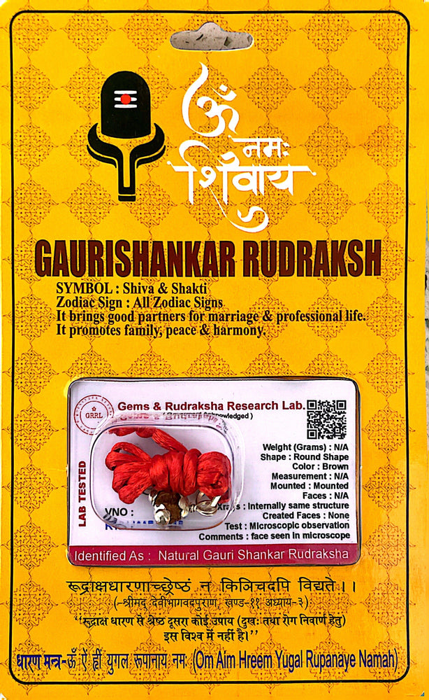 Gauri Shankar Rudraksha Necklace (Lab Certified) - Lord Shiva & Goddess Parvati, Good Partners for Marriage, & Professional Life, Promotes Family, Peace & Harmony