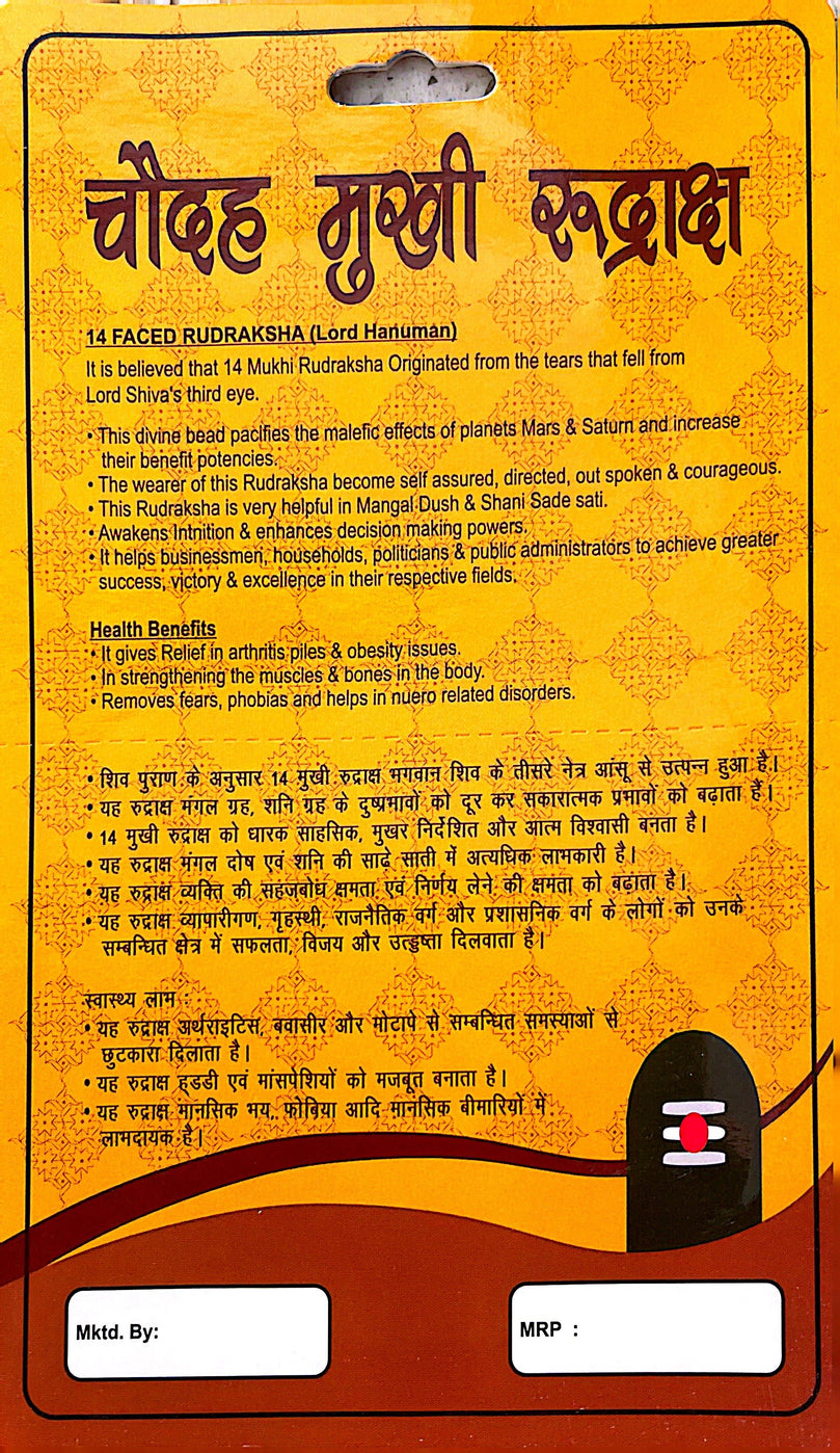 14 Faced (Mukhi) Rudraksha Necklace (Lab Certified) - Lord Hanuman, Mars & Saturn, Steady & Balanced Approach to Problem Solving, Become Self-Assured, Directed, Outspoken & Courageous, Heals Arthritis, Piles & Obesity issues