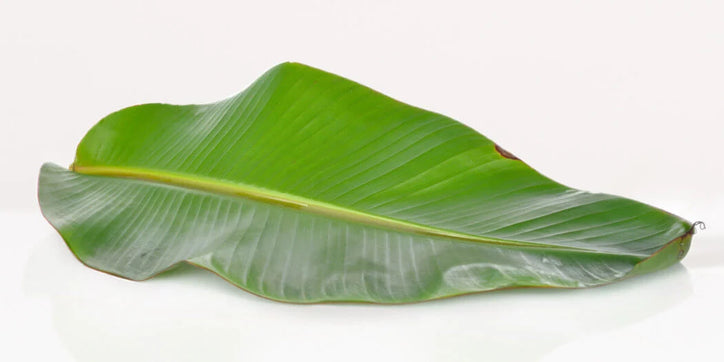 Banana Leaves - Per Leaf